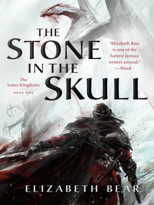 The Stone in the Skull - ebook